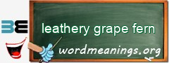 WordMeaning blackboard for leathery grape fern